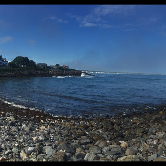 Meet your Posher, Kaylee - Picture 1 of 1